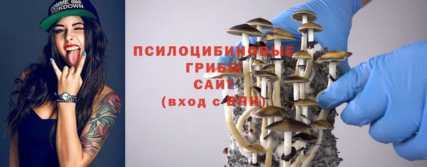 PSILOCYBIN Алексеевка