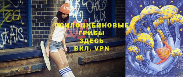 PSILOCYBIN Алексеевка