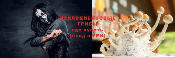 PSILOCYBIN Алексеевка