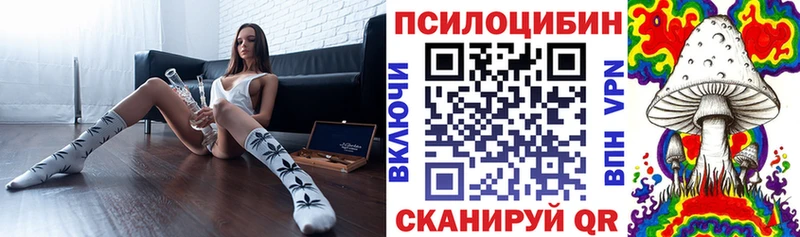 Псилоцибиновые грибы Cubensis  Рязань 
